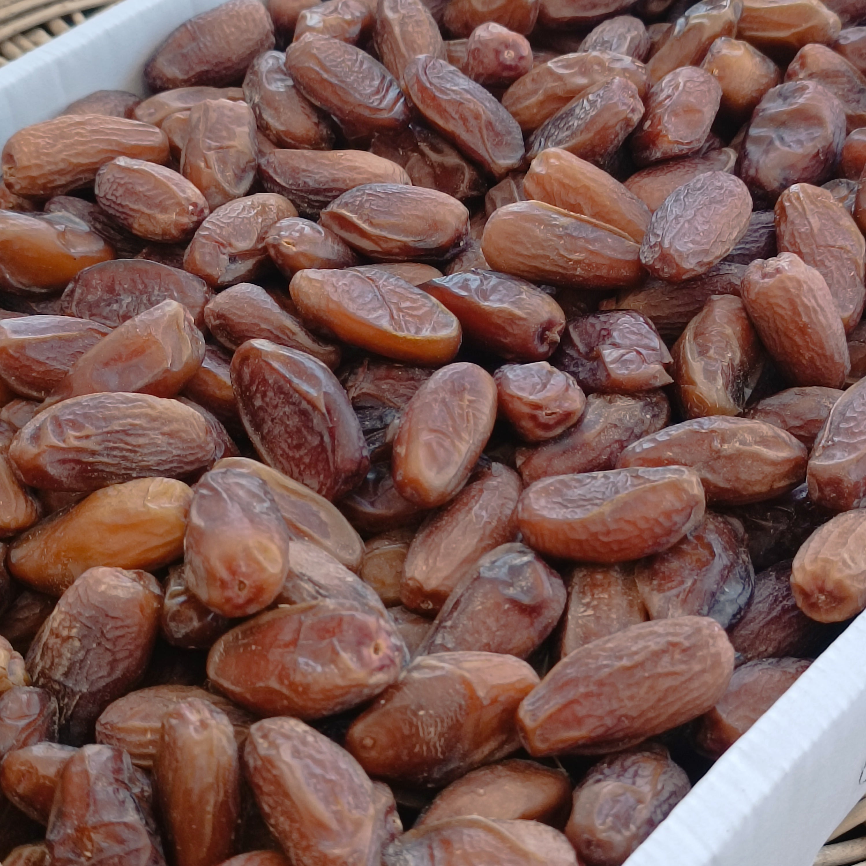 Tunus Deglet Nour Hurması