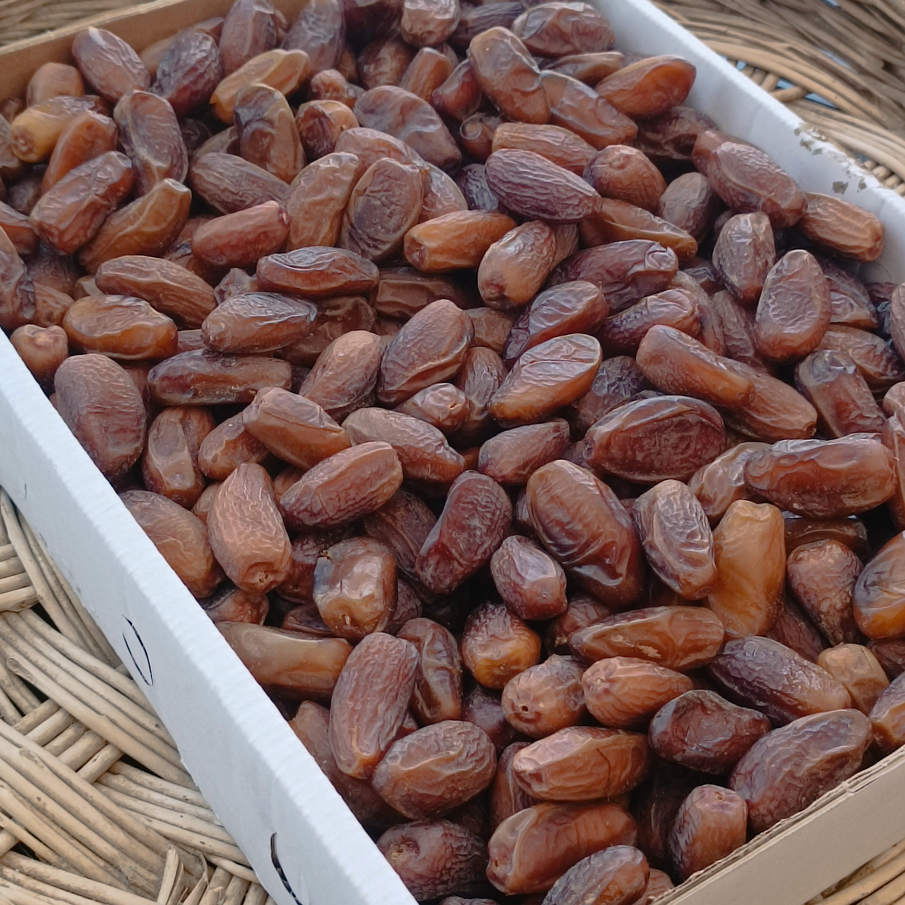 Tunus Deglet Nour Hurması