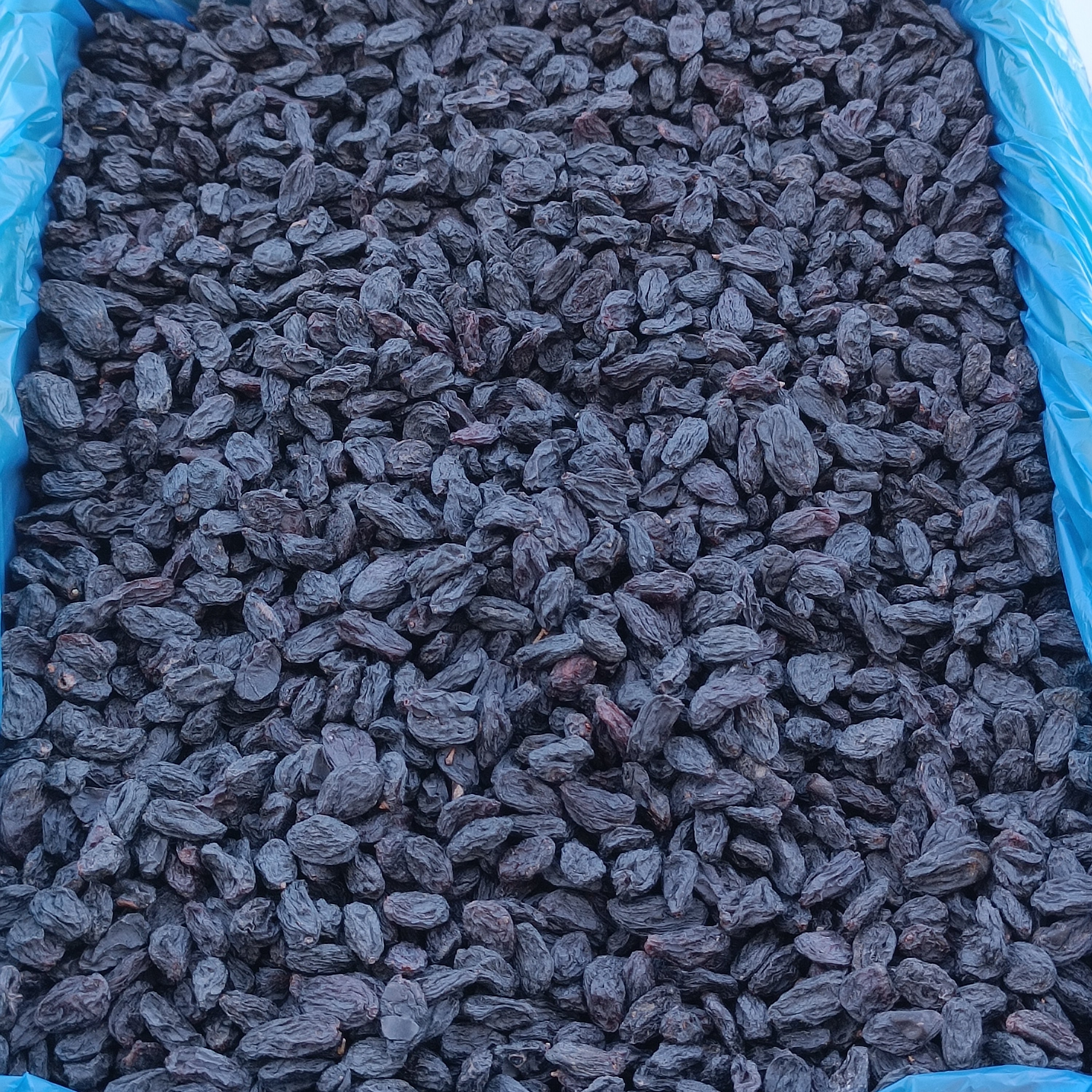 Çekirdeksiz Siyah Üzüm