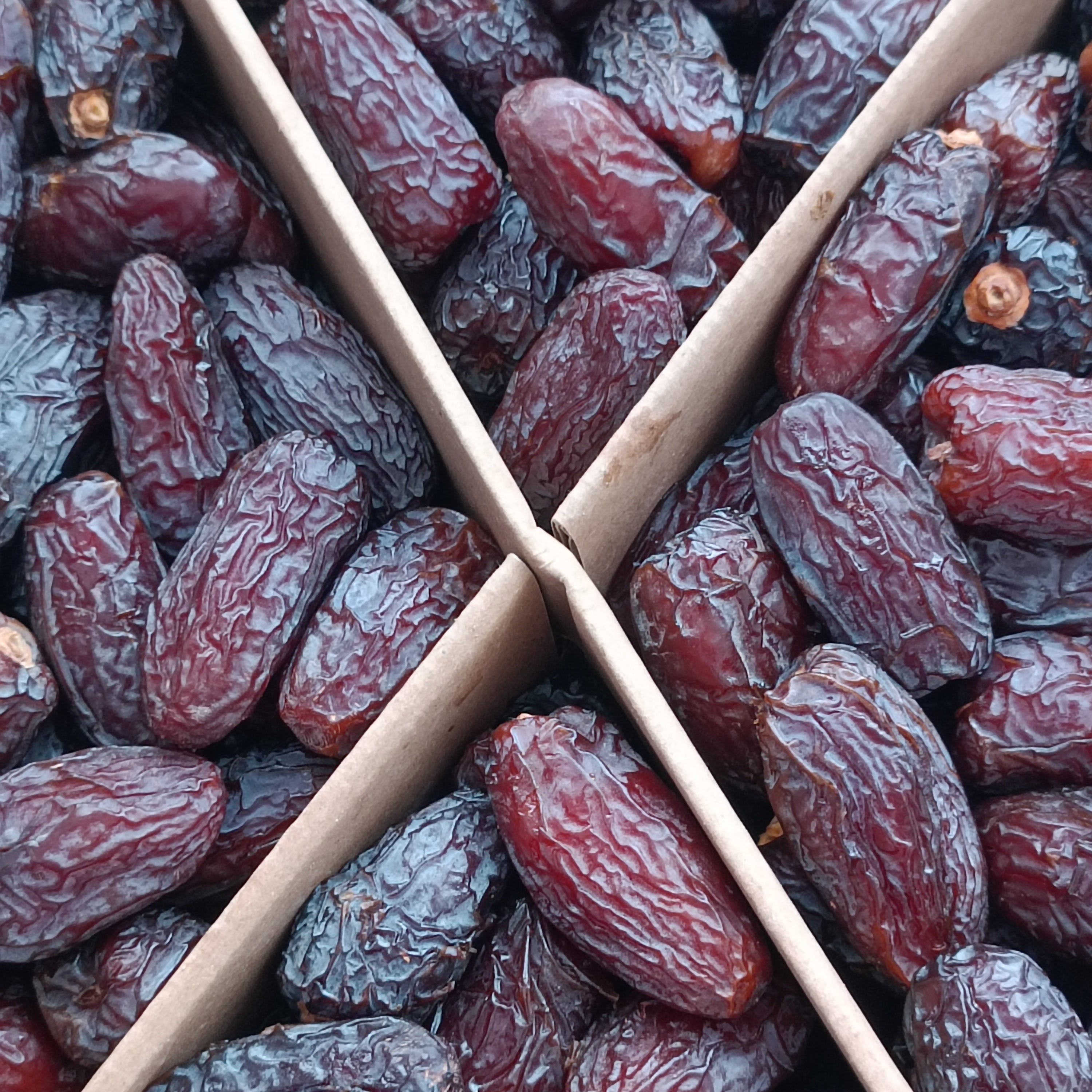 Kudüs Medjoul Hurması Jumbo