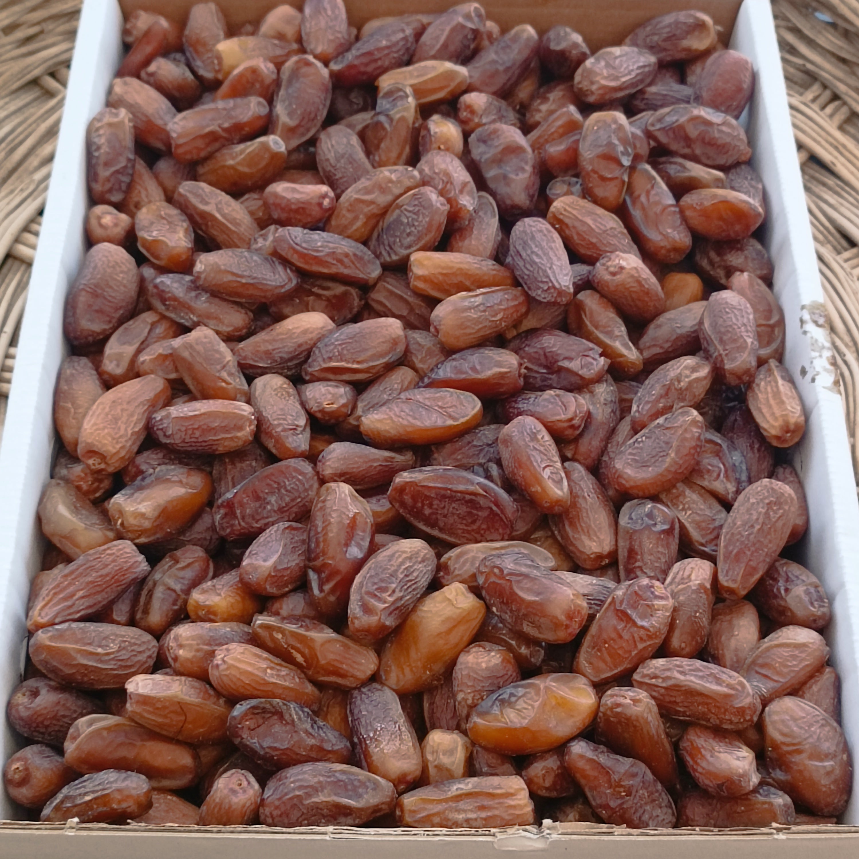 Tunus Deglet Nour Hurması