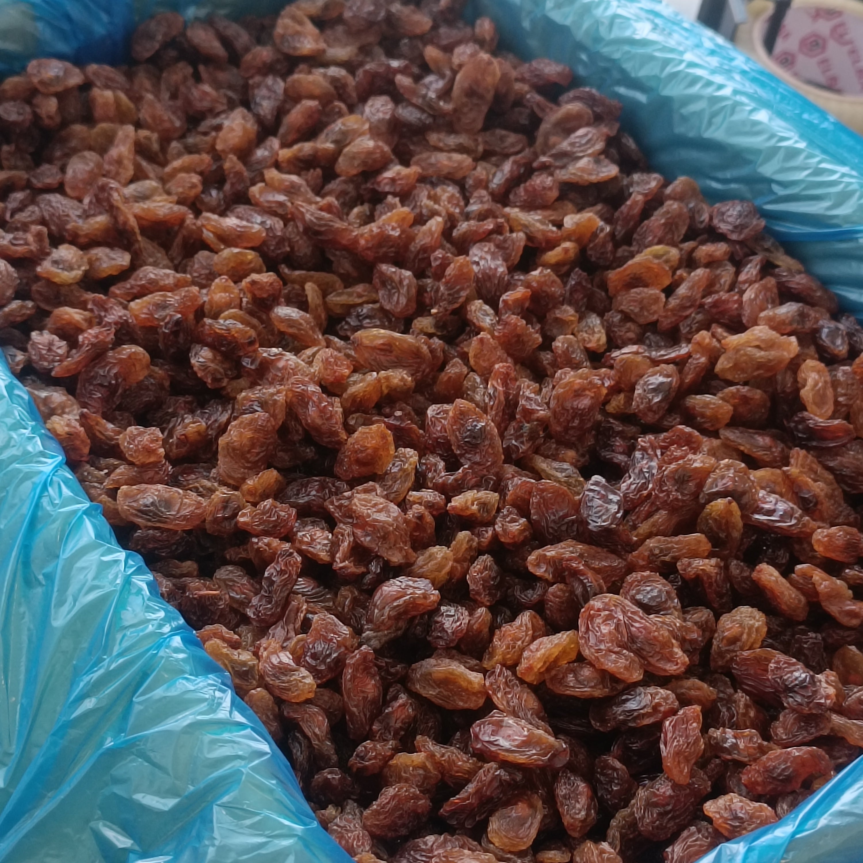Çekirdekli Sarı Üzüm (Besni Üzümü)