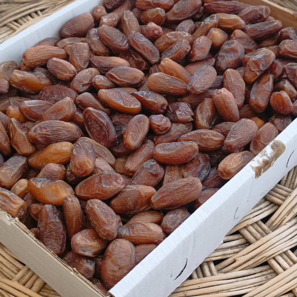 Tunus Deglet Nour Hurması