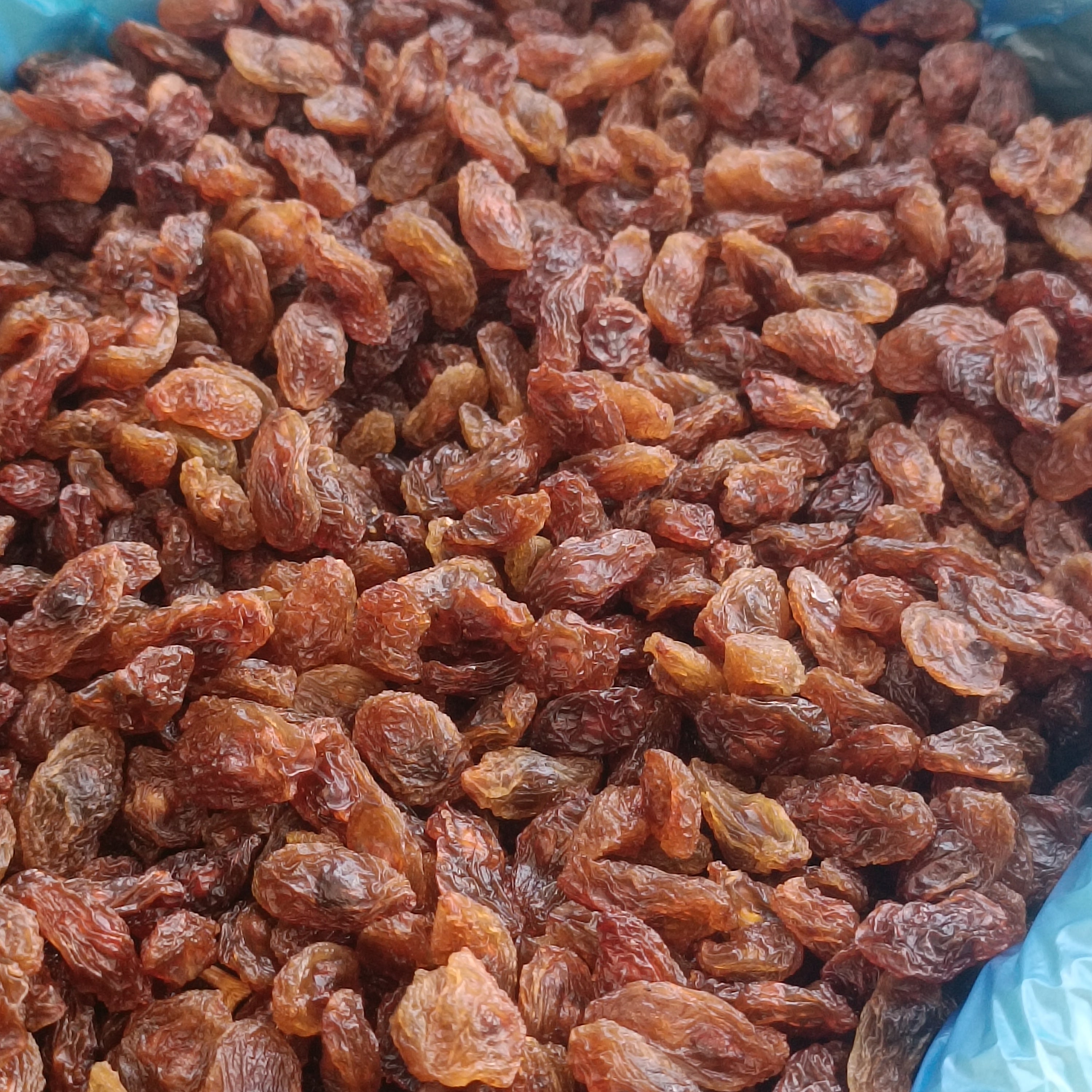 Çekirdekli Sarı Üzüm (Besni Üzümü)