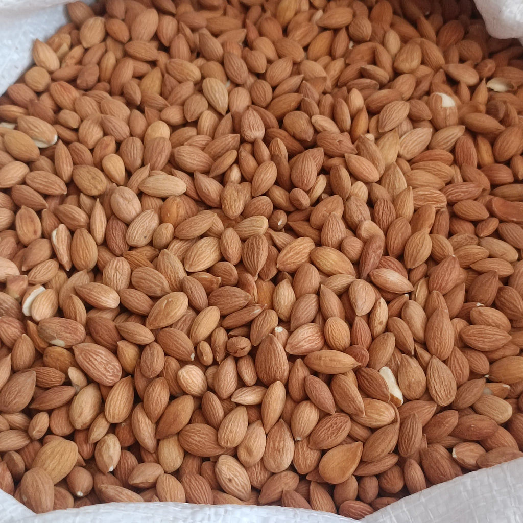 Kayısı Çekirdeği