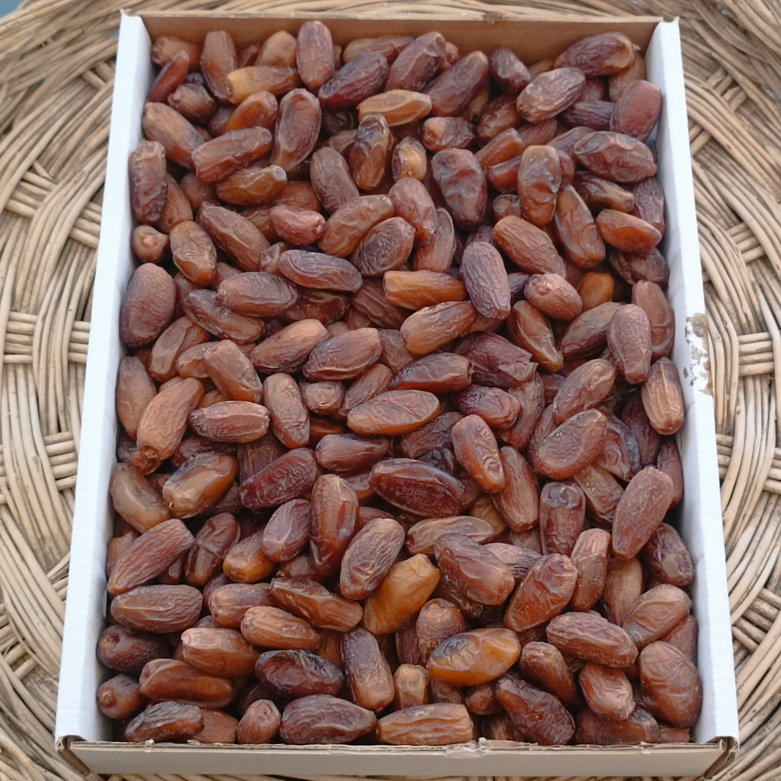 Tunus Deglet Nour Hurması