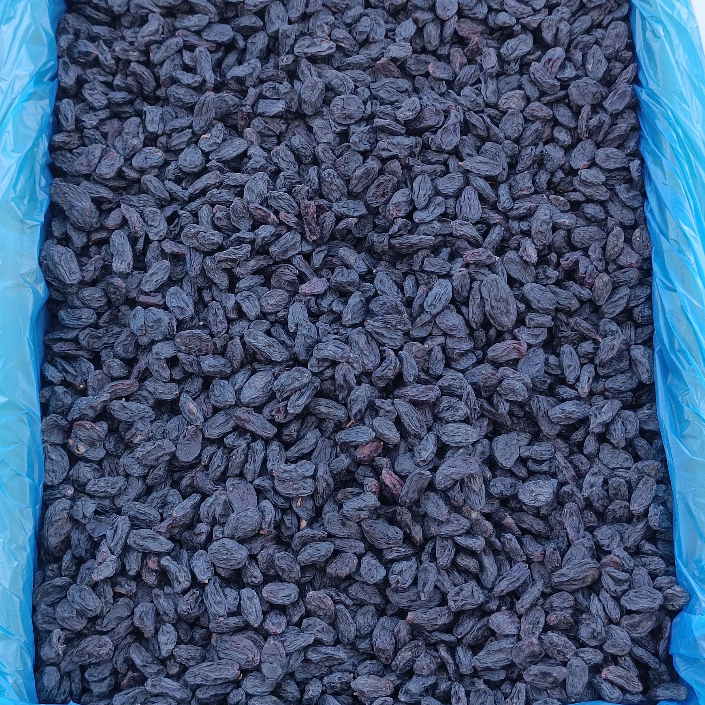 Çekirdeksiz Siyah Üzüm