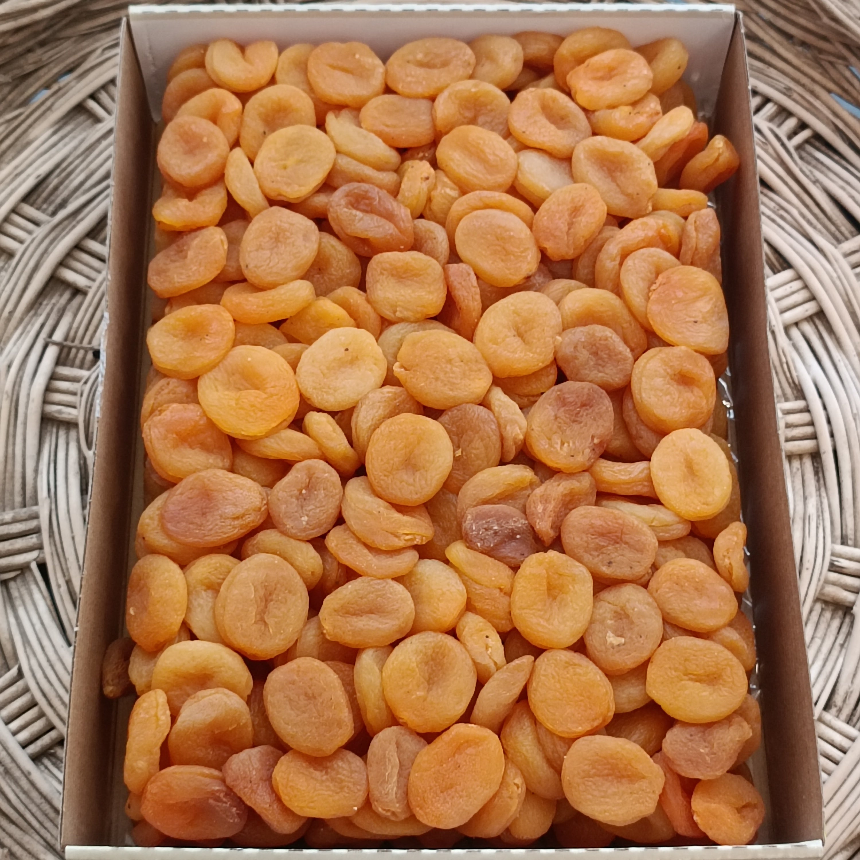 Sarı Kayısı 1 No