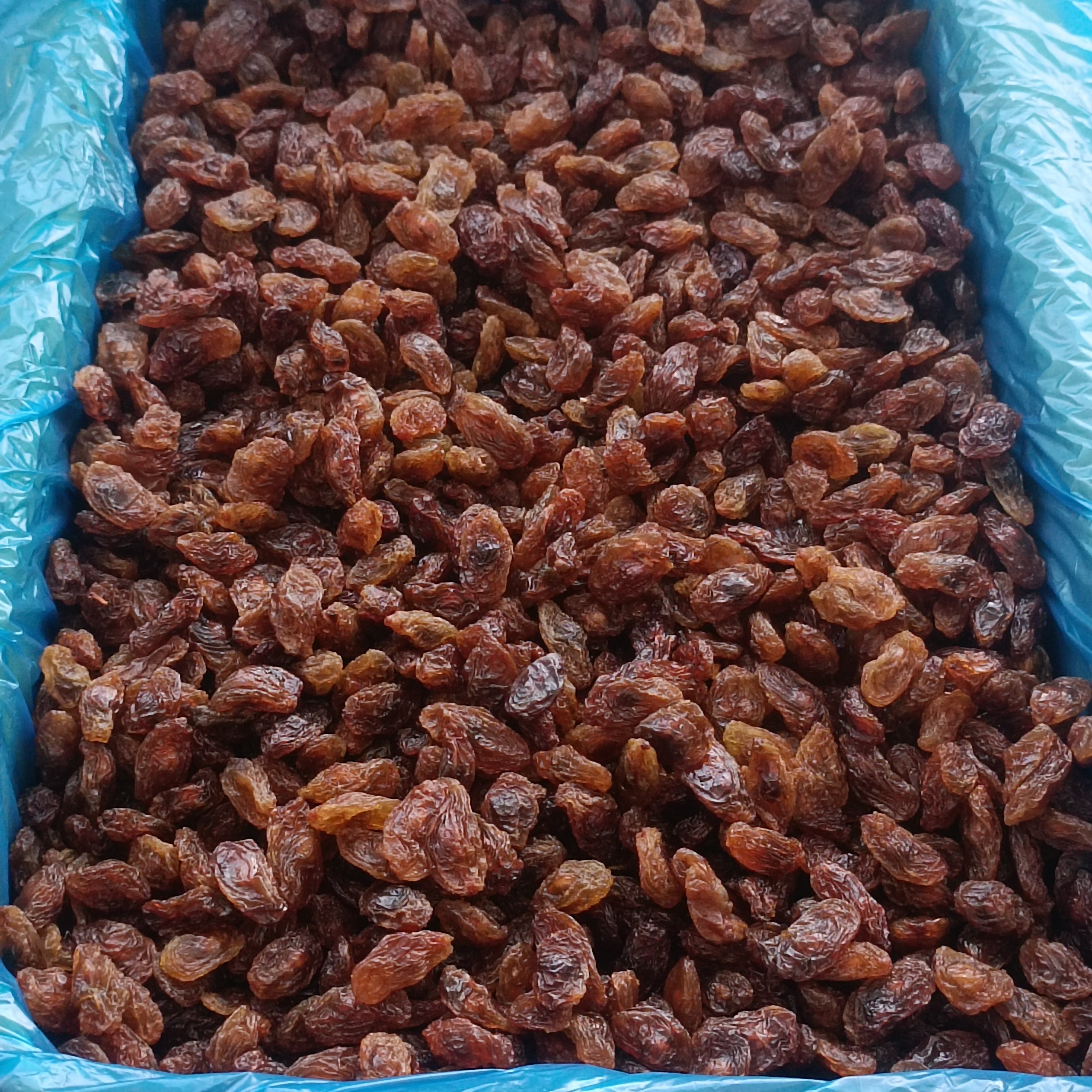 Çekirdekli Sarı Üzüm (Besni Üzümü)