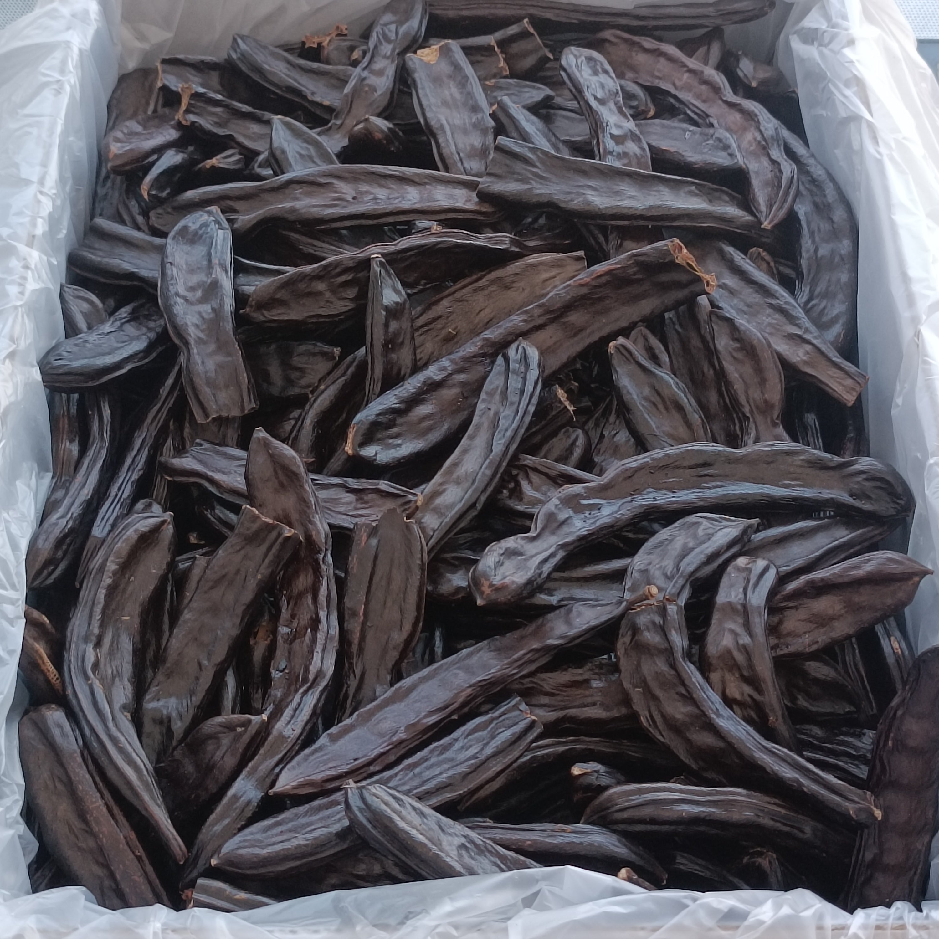 Doğal Keçiboynuzu